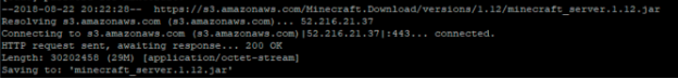 Installing Minecraft server