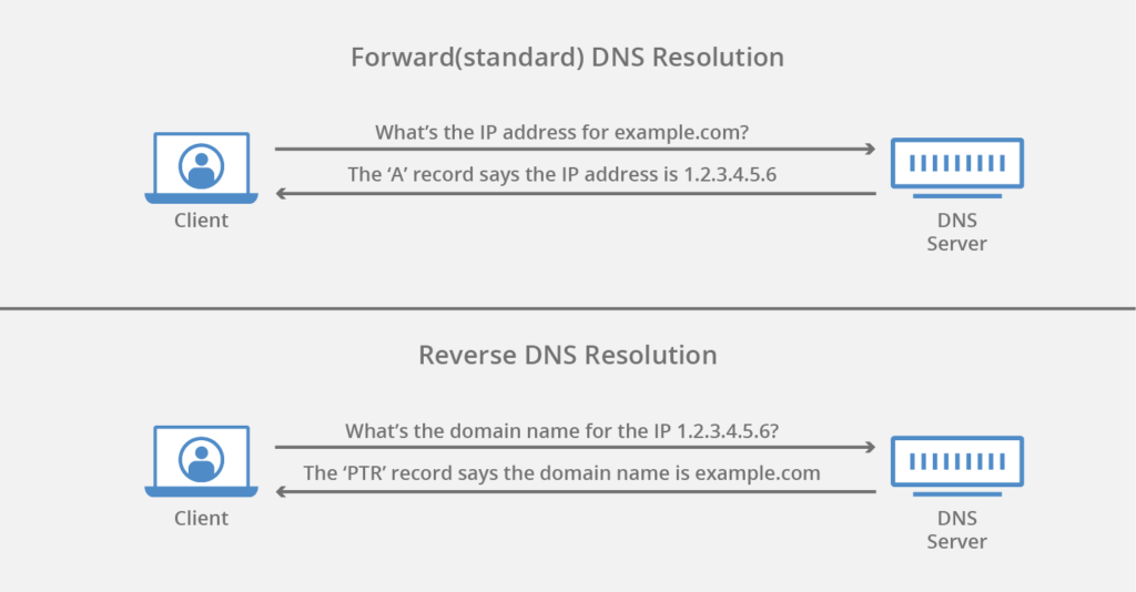 Reverse DNS Lookup - ®