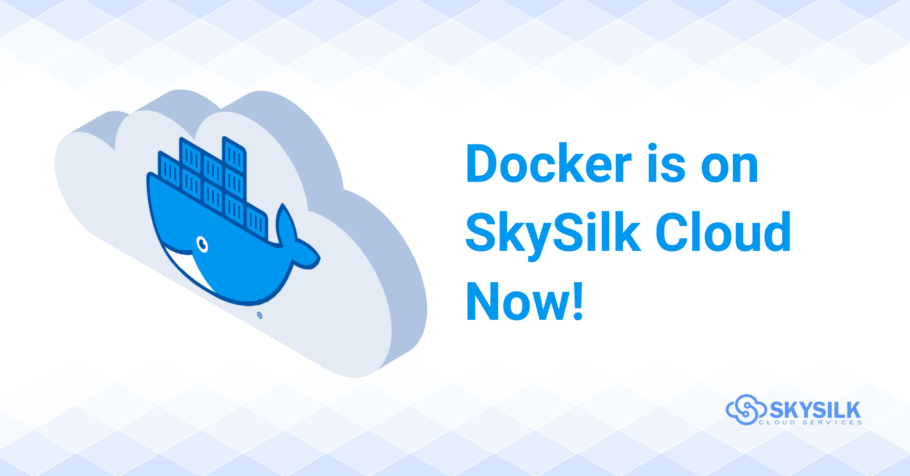 Docker is on SkySilk
